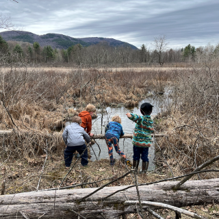 Willowell Foundation's Wren's Nest Forest Preschool